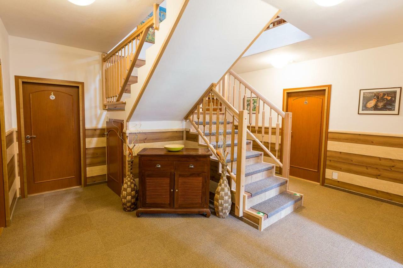 Hotel Admiral Lipno nad Vltavou Extérieur photo